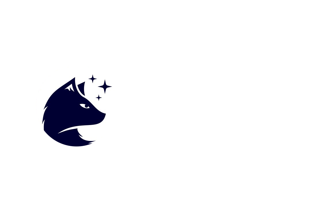 night fox logo 21 1 - fotopasce SUNTEK